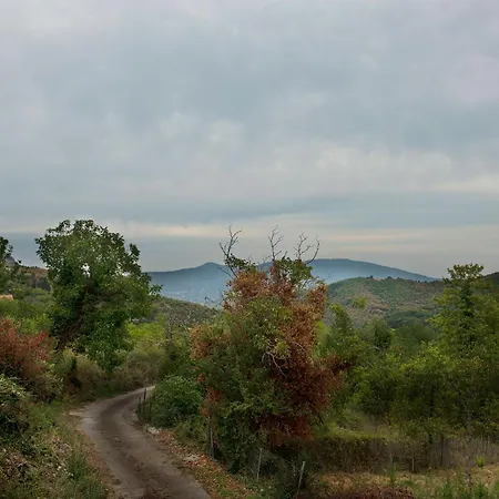 ο κισσός Σπίτι διακοπών Sklithron (Phocis)